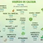 Comment obtenir du calcium sans produits laitiers : les aliments à consommer pour un apport optimal en calcium