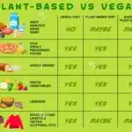 Comprendre les différences entre le régime à base de plantes et le végétalien