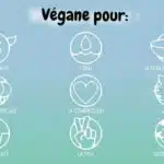 Transformer votre vie avec un régime végétalien : les avantages et les conséquences