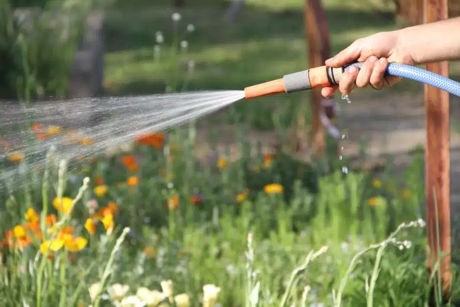 decouvrez-les-tuyaux-darrosage-secrets-qui-rendront-votre-jardin-eclatant-de-vie-cet-ete