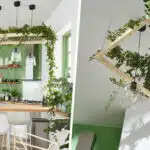 transformez-votre-plafond-en-paradis-vegetal-avec-les-plantes-suspendues-decouvrez-comment-creer-un-oasis-vert-au-dessus-de-vos-tetes