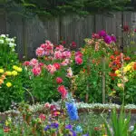decouvrez-comment-cultiver-des-bulbes-et-transformer-votre-jardin-en-paradis-floral-en-un-clin-doeil