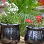 decouvrez-comment-les-pots-de-fleurs-truffaut-transforment-votre-jardin-en-un-veritable-oasis-de-couleurs-et-de-parfums-pret-a-emerveiller-vos-sens