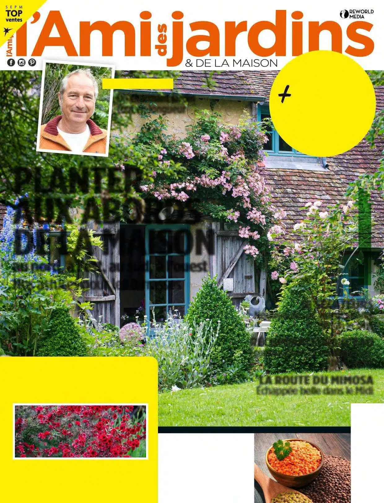 decouvrez-comment-transformer-votre-jardin-en-un-paradis-floral-avec-les-secrets-du-cerisier-un-guide-inedit-pour-des-cerisiers-magnifiques-et-des-recoltes-abondantes-en-quelques-etapes-simples