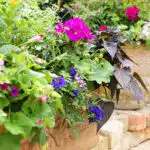 decouvrez-comment-une-jardiniere-surelevee-peut-transformer-votre-jardin-en-oasis-florale-en-un-clin-doeil
