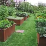 decouvrez-la-jardiniere-urbaine-metal-qui-revolutionne-votre-balcon-en-un-jardin-florissant-en-un-temps-record