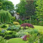 decouvrez-le-secret-pour-choisir-le-meilleur-arbre-pour-votre-jardin-et-creer-un-paradis-vert