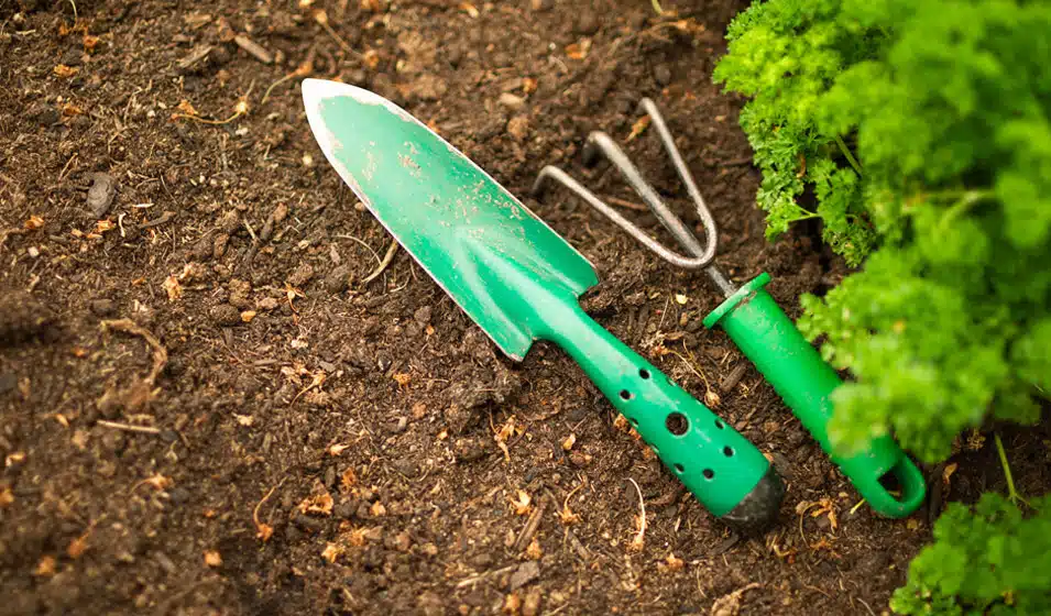 decouvrez-les-outils-de-jardinage-jardiland-qui-transforment-votre-jardin-en-eden-vert