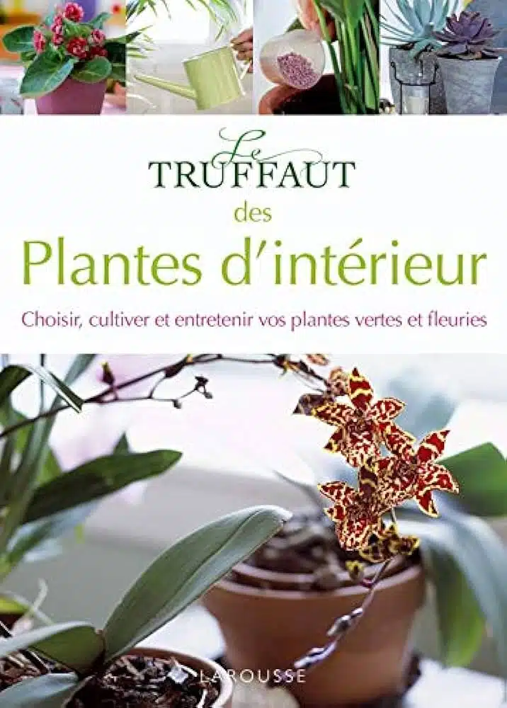 decouvrez-les-secrets-caches-des-plantes-vertes-truffaut-pour-une-decoration-florale-eblouissante-plus-que-jamais-votre-interieur-merite-une-verdure-exceptionnelle