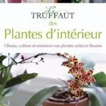 decouvrez-les-secrets-des-plantes-vertes-truffaut-pour-un-interieur-vibrant-et-ressentez-le-bonheur-immediat