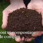 decouvrez-les-secrets-des-types-de-compost-pour-une-fertilisation-naturelle-et-luxuriante-le-guide-ultime-a-portee-de-clic