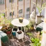 decouvrez-les-secrets-du-jardinage-urbain-pour-embellir-votre-balcon-en-un-week-end