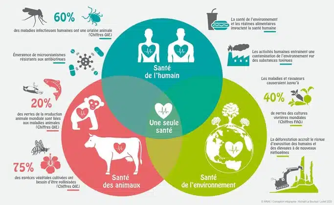 healthy-decouvrez-ce-que-signifie-reellement-ce-terme-cle-de-la-sante