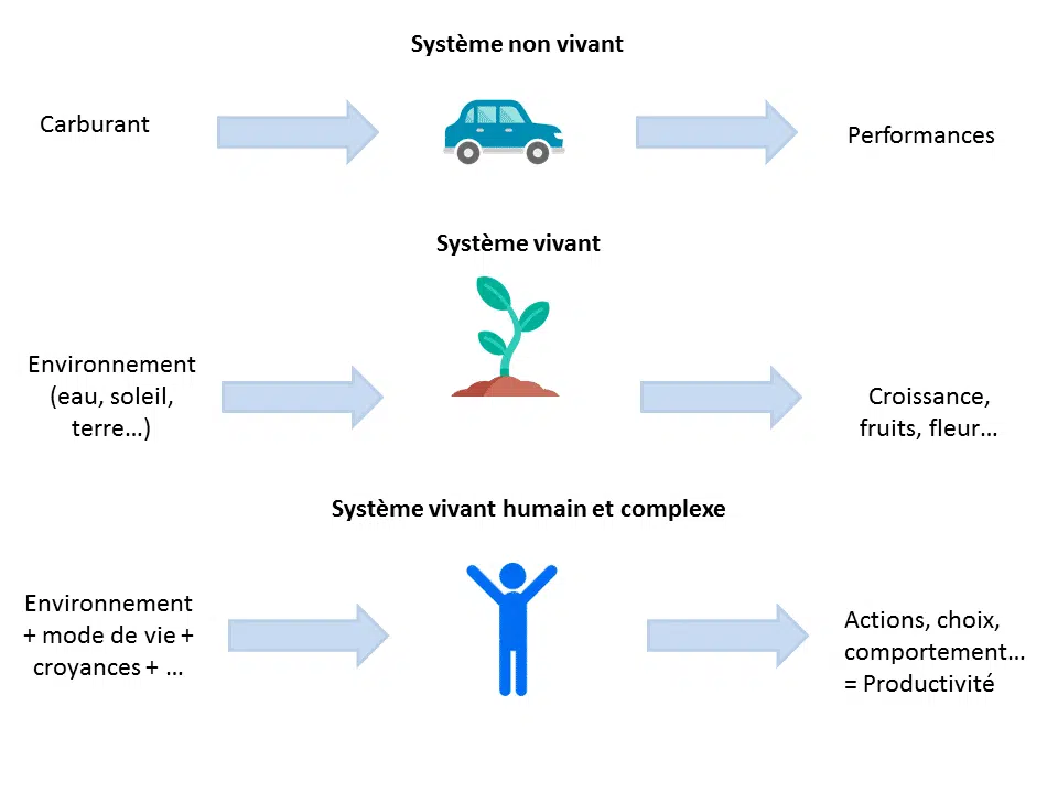 les-10-meilleures-astuces-pour-adopter-un-mode-de-vie-sain-et-equilibre