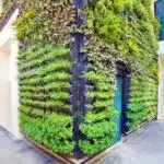 les-jardins-verticaux-une-revolution-vegetale-a-portee-de-main-pour-transforme-votre-espace-en-oasis-urbaine