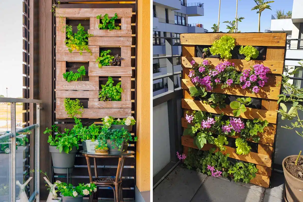 les-secrets-pour-creer-un-oasis-de-verdure-en-pot-sur-votre-terrasse-revelations-sur-les-plantes-qui-eblouiront-votre-espace-exterieur