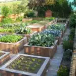 revolutionnez-votre-jardinage-avec-des-pots-de-plantation-rectangulaires-decouvrez-notre-astuce-pour-des-recoltes-abondantes