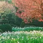 secrets-jardiniers-reveles-trouvez-vos-tresors-verts-sur-le-bon-coin-23-pour-transformer-votre-jardin-en-paradis