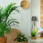 Transformez instantanément votre intérieur avec les plantes artificielles Home depot : la solution parfaite pour une décoration éternelle et sans effort!