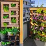 transformez-votre-balcon-en-oasis-de-couleurs-avec-notre-guide-ultime-des-plantes-pour-jardinieres-decouvrez-comment-creer-un-jardin-a-couper-le-souffle-des-maintenant