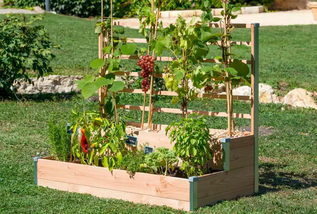 transformez-votre-jardin-en-oasis-gourmande-avec-la-solution-ultime-la-jardiniere-potager-sur-pied-decouvrez-comment-maximiser-vos-recoltes-des-maintenant