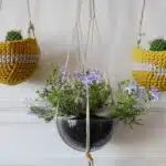 transformez-votre-jardin-en-paradis-botanique-avec-les-crochets-pour-support-de-pot-astuces-pratiques-et-inspirantes-pour-des-pots-suspendus-a-couper-le-souffle