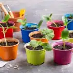 decouvrez-comment-les-pots-planteurs-en-plastique-peuvent-transformer-votre-espace-vert-en-un-paradis-florissant-en-un-rien-de-temps