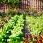 decouvrez-comment-maximiser-lespace-dans-votre-jardin-avec-la-jardiniere-dangle-ultime-la-solution-parfaite-pour-un-jardin-luxuriant-et-peu-encombre