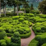 decouvrez-les-secrets-du-paradis-terrestre-avec-jardin-land-une-source-dinspiration-pour-transformer-votre-espace-exterieur-en-un-oasis-luxuriant