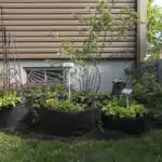 le-secret-des-grands-pots-plastiques-comment-maximiser-votre-espace-de-jardin-et-cultiver-des-plantes-luxuriantes-des-maintenant