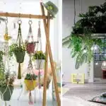 rendez-vos-espaces-magiques-avec-des-plantes-suspendues-au-plafond-decouvrez-les-secrets-pour-creer-une-oasis-de-verdure-a-couper-le-souffle