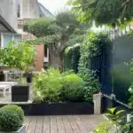 revelez-le-secret-des-arbustes-en-pot-comment-creer-un-jardin-luxuriant-et-pratique-chez-vous