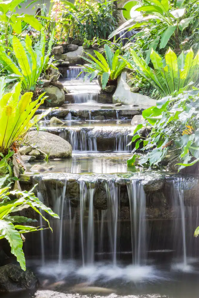 transformez-votre-jardin-en-un-havre-de-paix-avec-une-cascade-deau-envoutante-decouvrez-les-secrets-de-son-installation-et-les-bienfaits-quelle-apporte