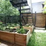 decouvrez-comment-les-bacs-jardin-sureleves-revolutionnent-votre-espace-exterieur-et-boostent-votre-recolte-en-un-temps-record