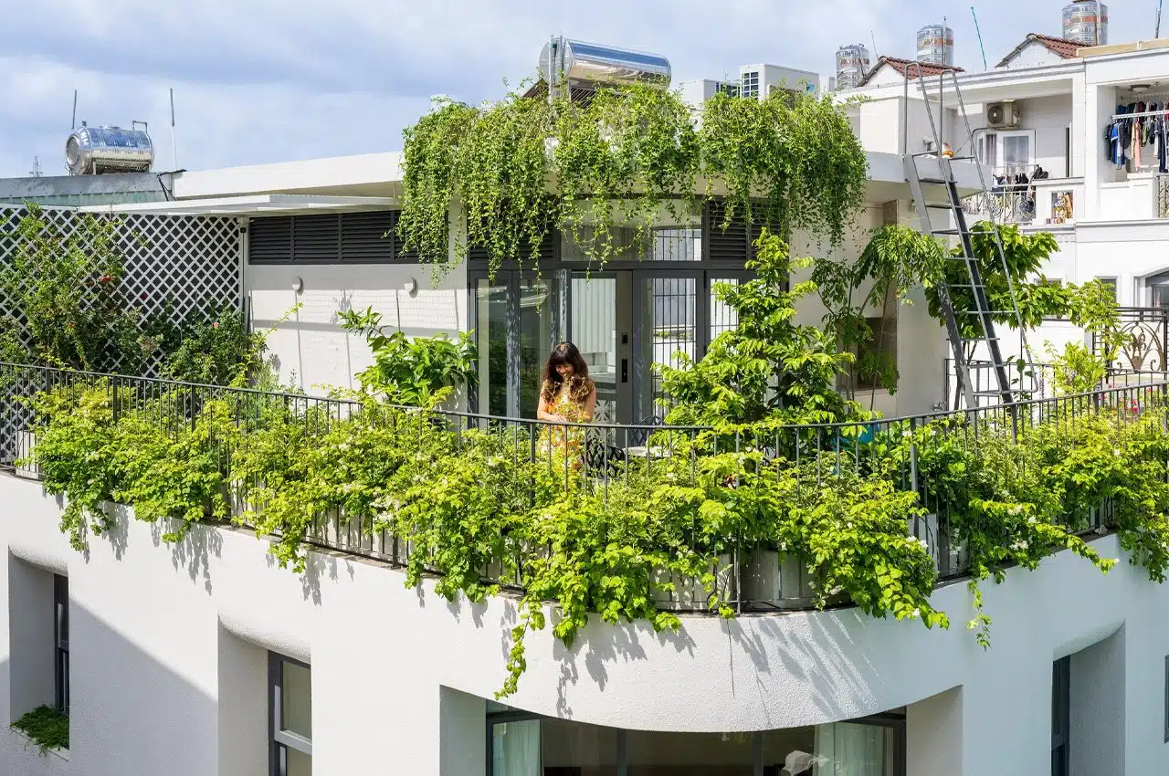 decouvrez-les-secrets-des-jardinieres-dinterieur-suspendus-pour-une-oasis-de-verdure-chez-vous-preparez-vous-a-transformer-votre-espace-de-vie-des-maintenant