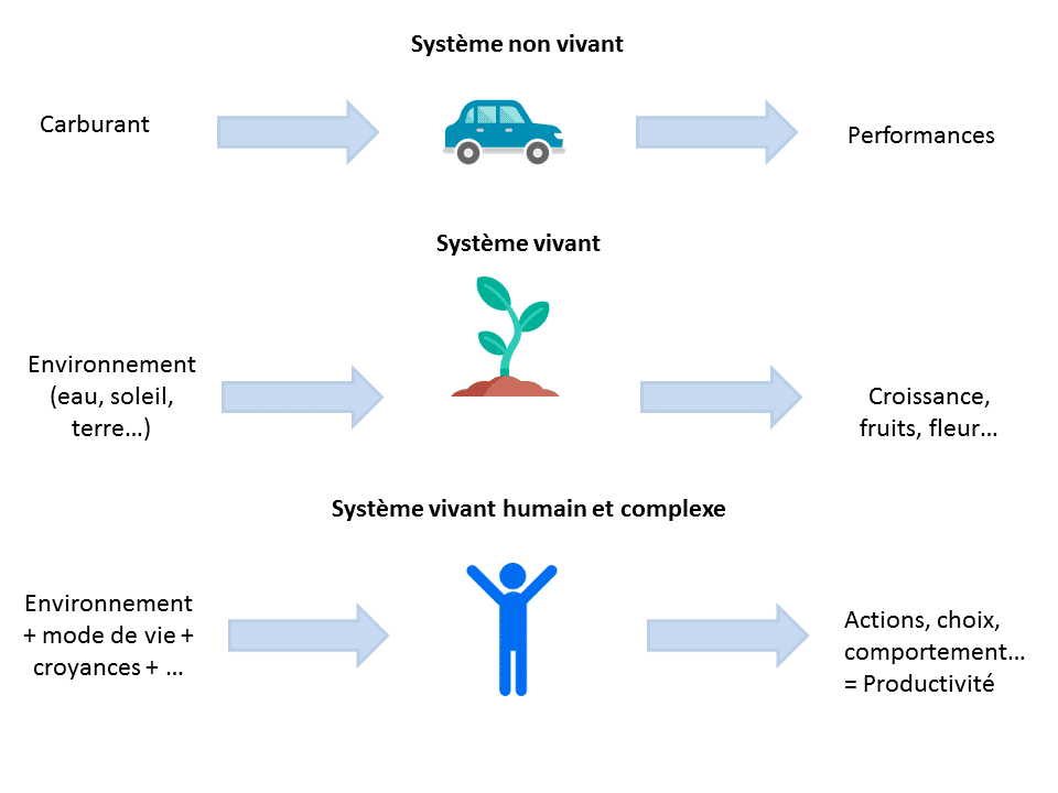 le-plan-de-vie-plus-sain-comment-adopter-un-mode-de-vie-plus-sain-et-plus-equilibre