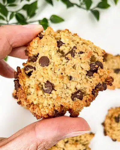 les-cookies-au-flocon-davoine-healthy-une-gourmandise-saine-a-adopter