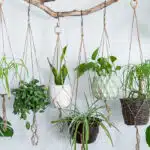 revolutionnez-votre-jardin-avec-des-pots-de-fleurs-a-suspendre-lastuce-ultime-pour-une-decoration-florale-aerienne-et-spectaculaire