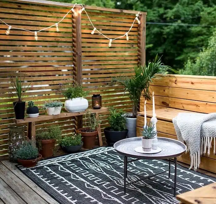 transformez-votre-terrasse-en-un-paradis-vert-avec-ces-plantes-uniques-et-decouvrez-comment-elles-amelioreront-instantanement-votre-espace-exterieur