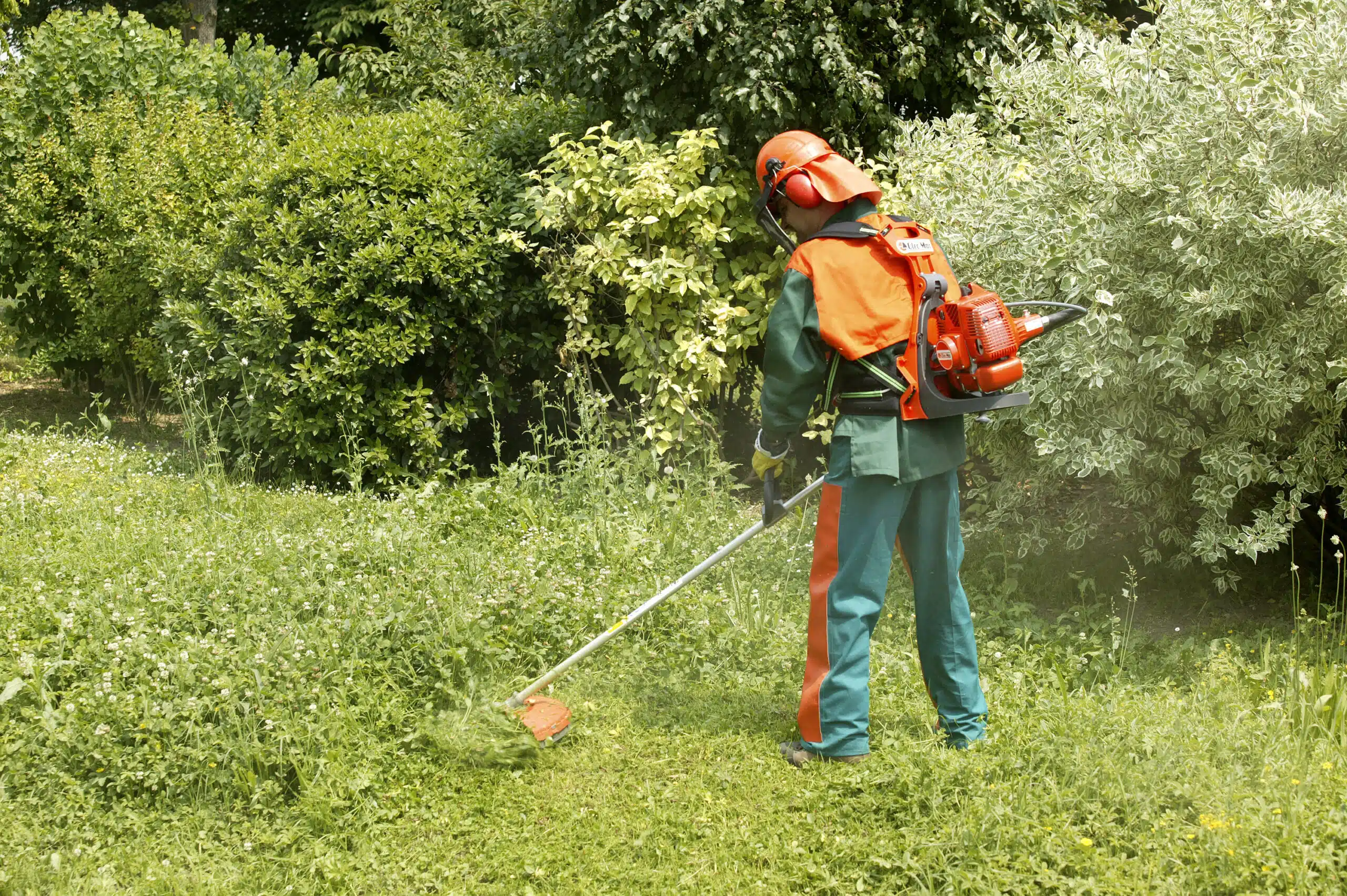 decouvrez-comment-le-bon-fil-debroussailleuse-peut-transformer-votre-jardin-en-paradis-en-un-clin-doeil